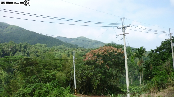 2013.10.15 杉林溪初體驗!