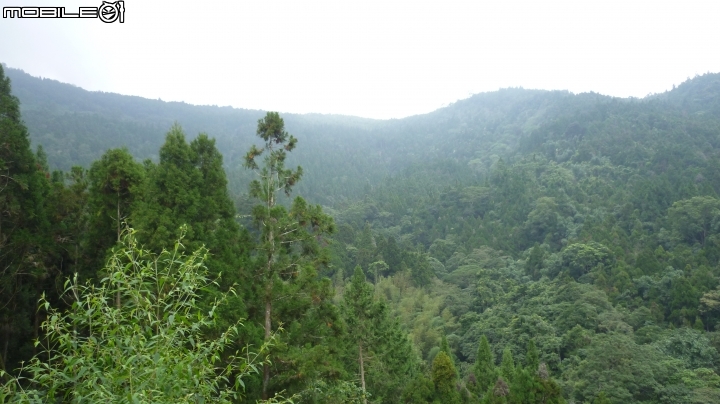 2013.10.15 杉林溪初體驗!