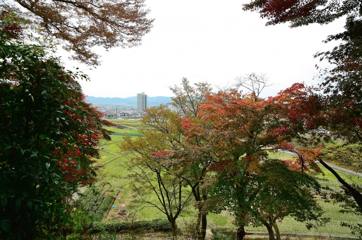 2014 京都-楓[圖多]