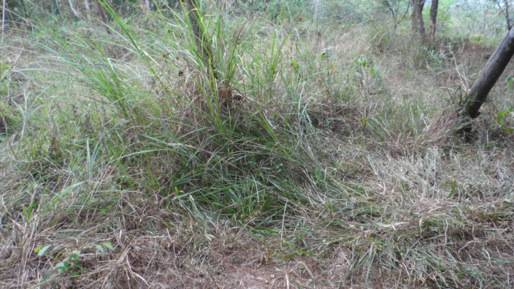 埔里顏氏牧場 網路抱怨