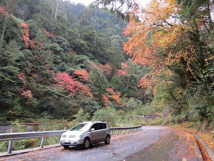 2014/12/02-12/04 NISSAN Livina 清境武陵賞楓遊及油耗實測