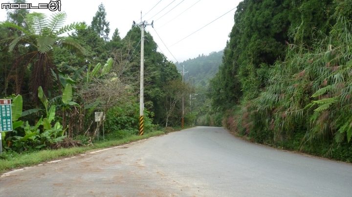 2013.10.15 杉林溪初體驗!