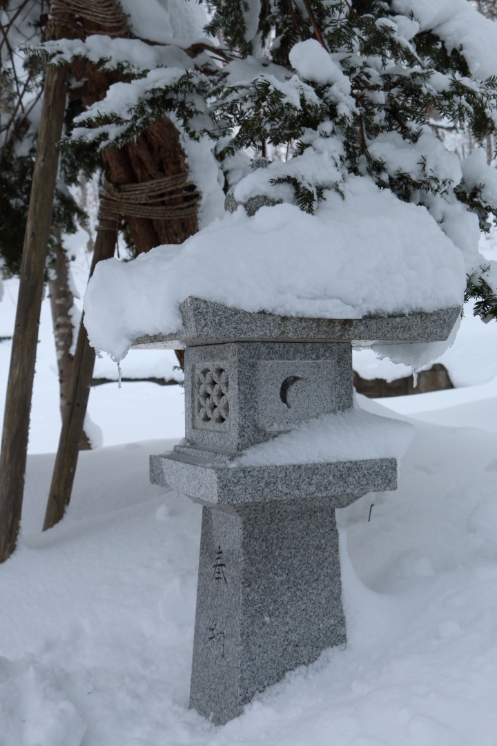 70D簡易開箱及北海道之旅使用心得