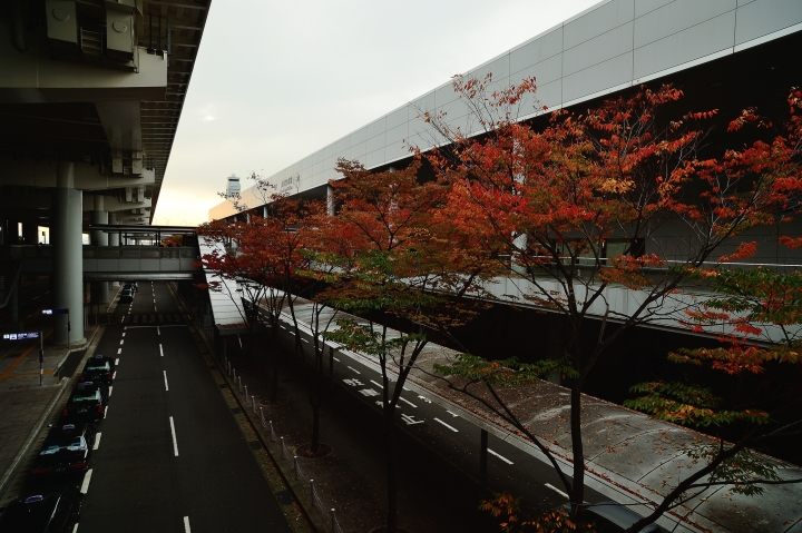 2014 京都-楓[圖多]