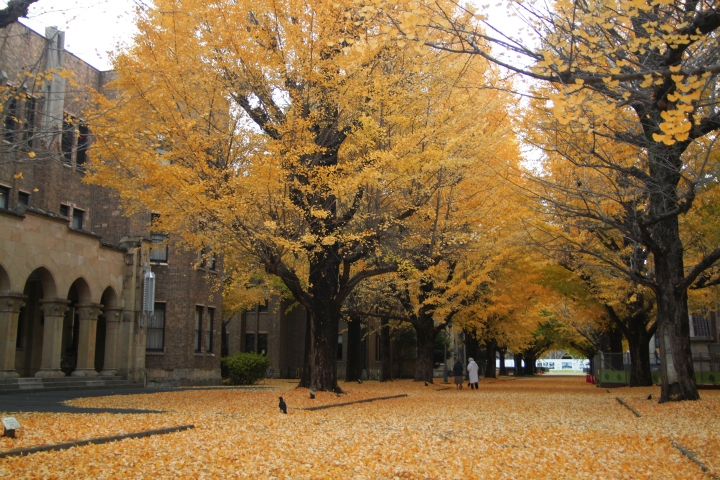 東大校園
