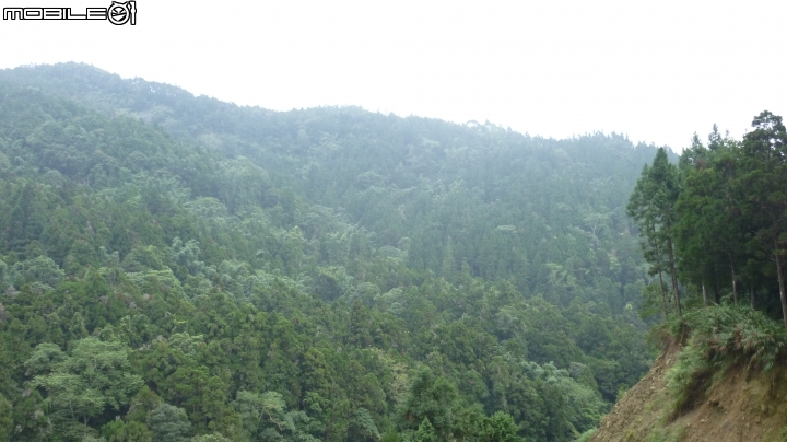 2013.10.15 杉林溪初體驗!