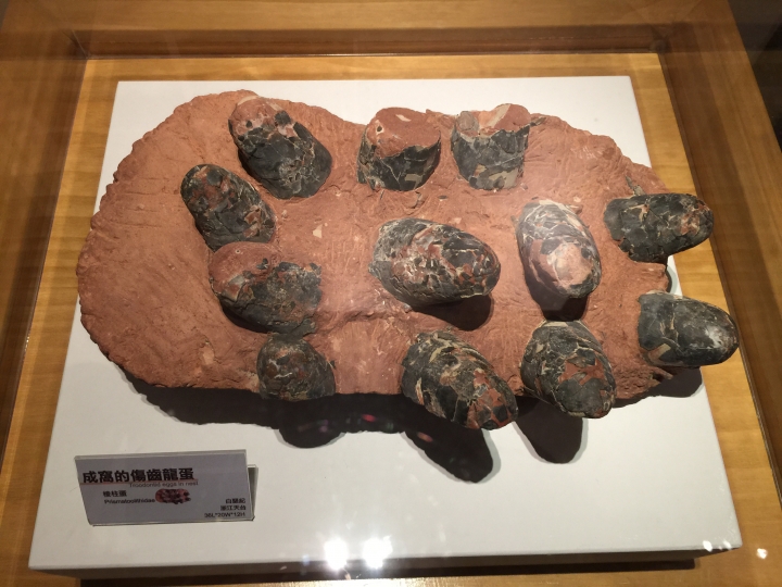 台中科博館《恐龍蛋‧誕恐龍》特展