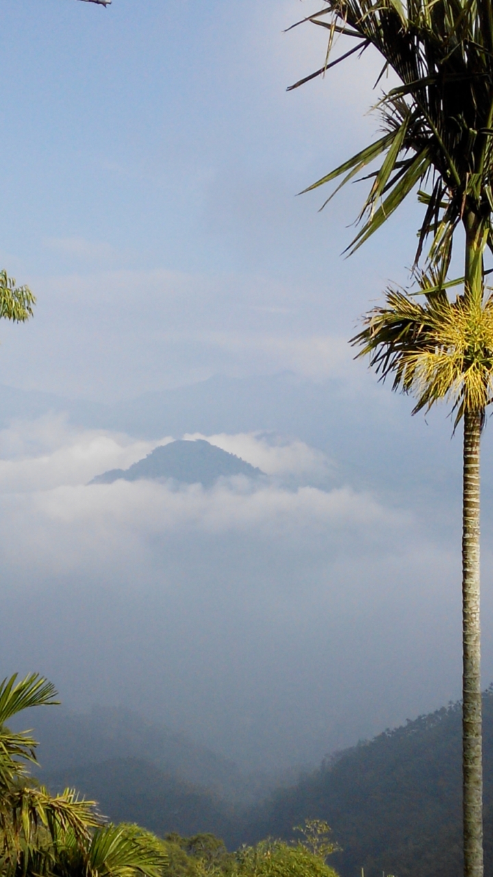 請教這是哪座山