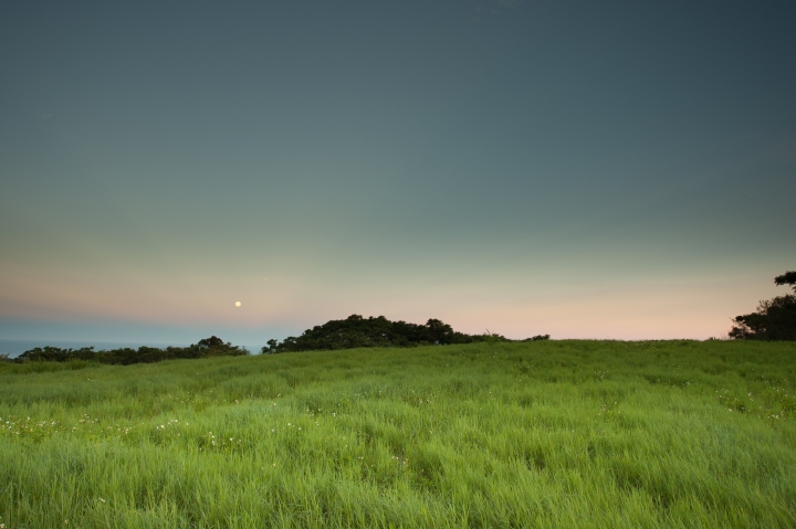 入手 EF 17-40 f/4L、 EF 40mm f/2.8STM、 EF 24mm f/1.4L II 幾張照片分享