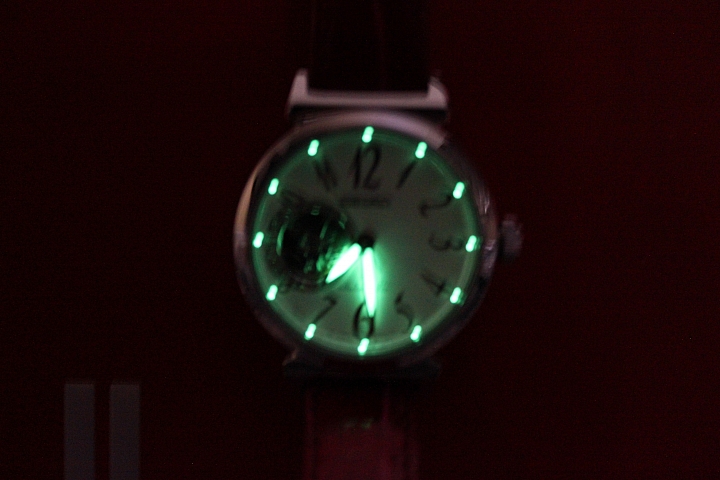 SEIKO(SSA213J1)(SSA895J1)開箱 圖多