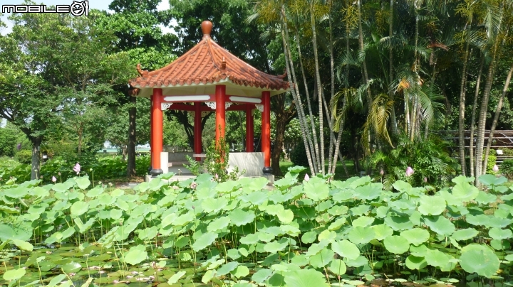 簡單行程~~假日欣賞辣妹的熱門景點