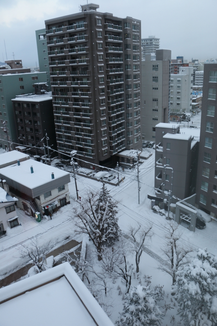 70D簡易開箱及北海道之旅使用心得
