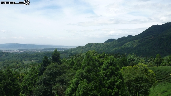 可憐的七速小折被我健踏～～陪我去「上山閱讀」