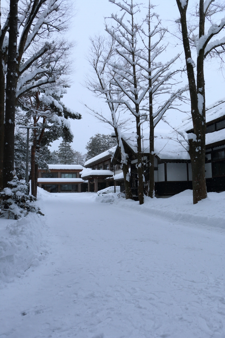 70D簡易開箱及北海道之旅使用心得