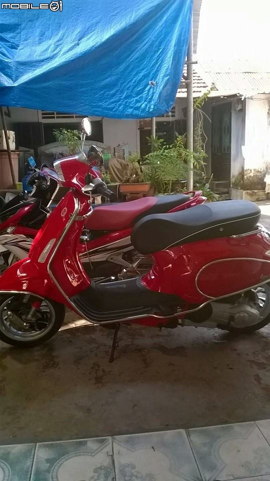 有關VESPA 春天&衝刺 的保桿..