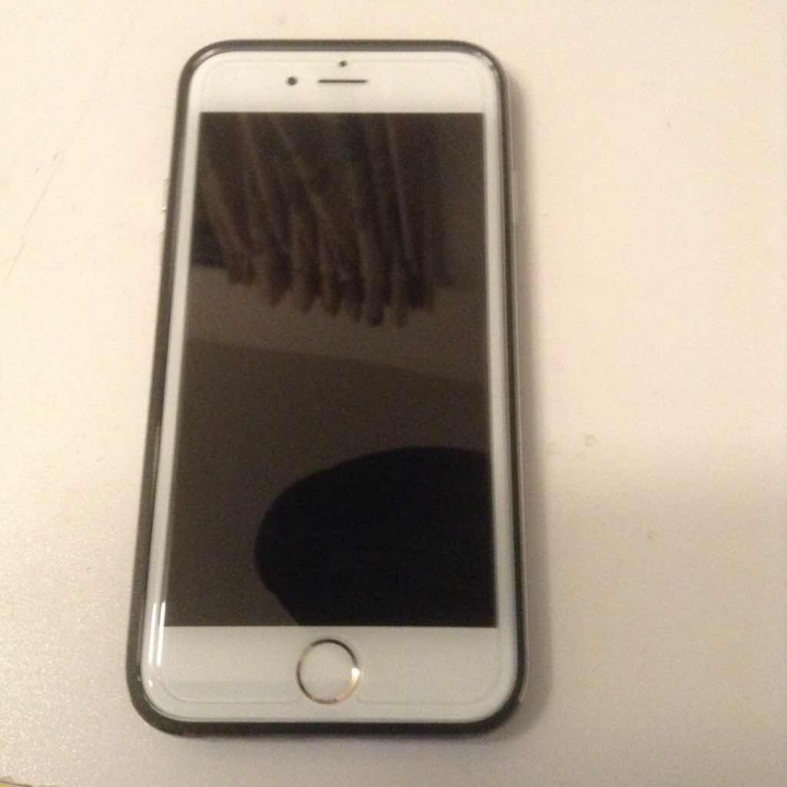 （純分享）Iphone6 太空鋁 + 義大利真皮背蓋保護殼