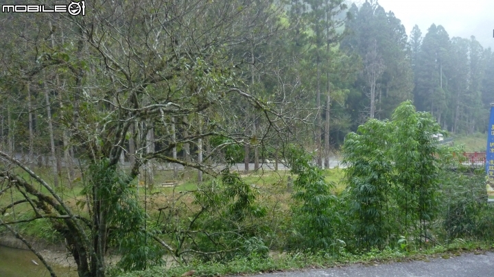 2013.10.15 杉林溪初體驗!