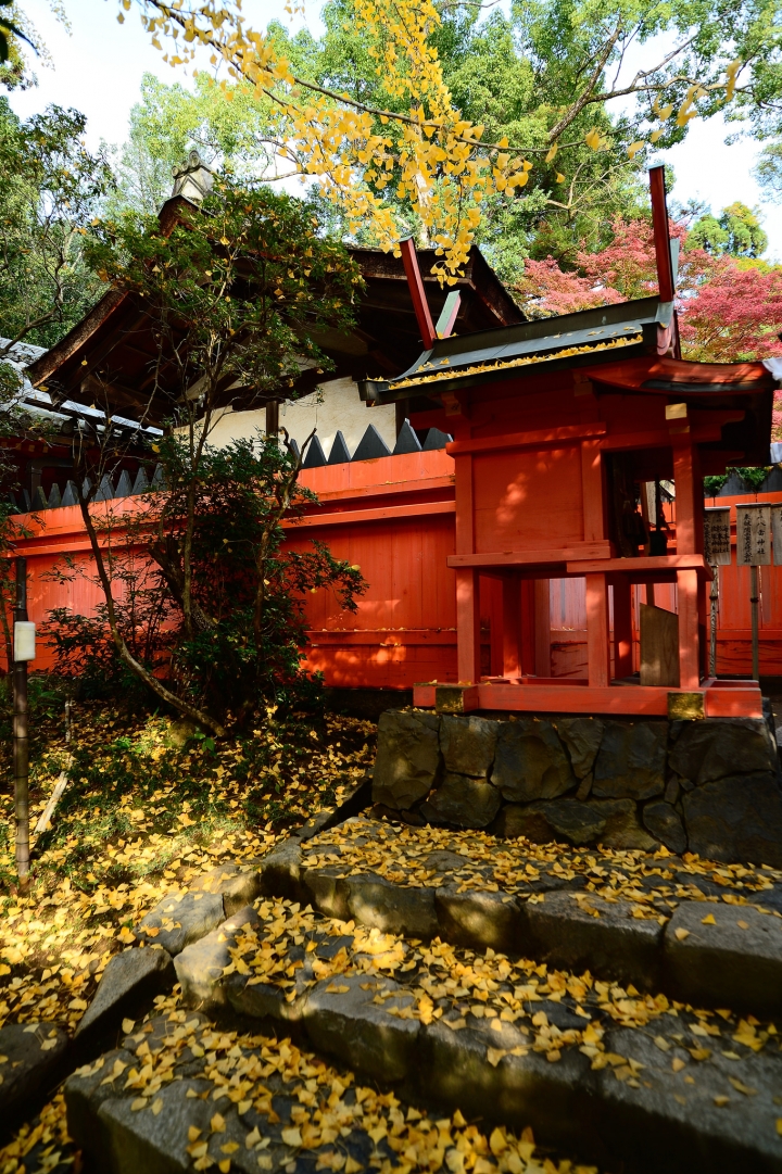 2014 京都-楓[圖多]