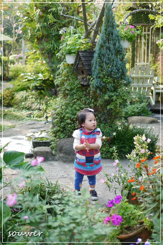 [食記] 太平‧班比納鄉村居~法國鄉村餐廳
