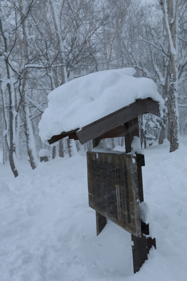 70D簡易開箱及北海道之旅使用心得