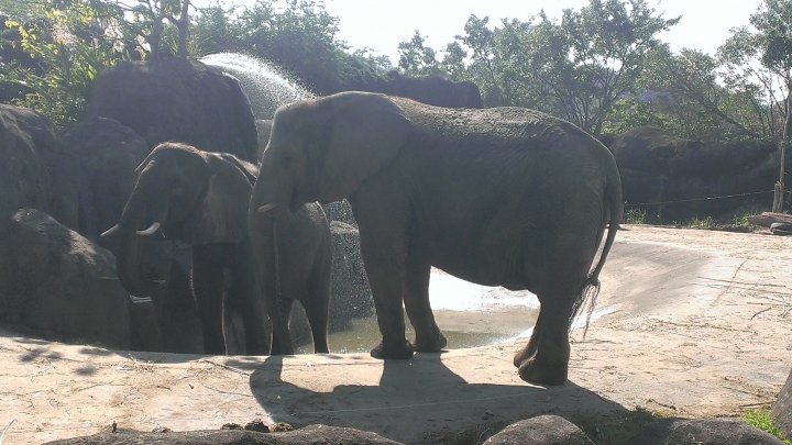 福特意圖想讓人把車子開回家之Fiesta 24小時試駕