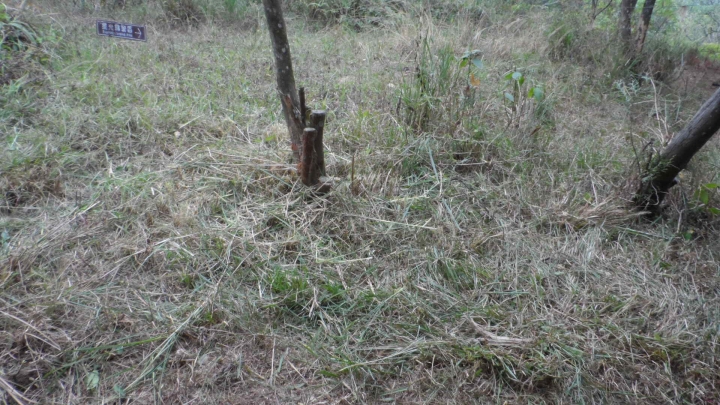 埔里顏氏牧場 網路抱怨