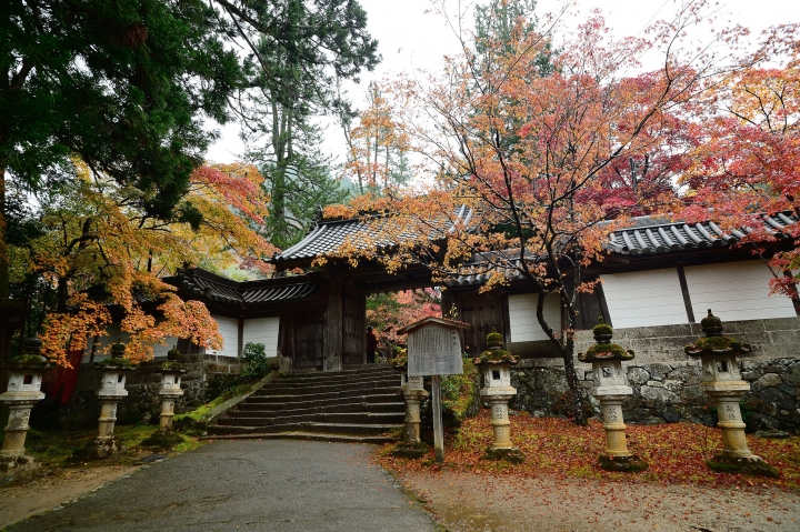 2014 京都-楓[圖多]
