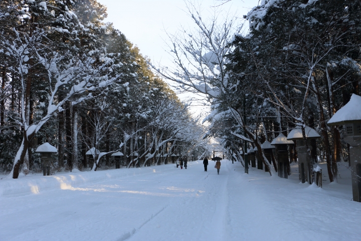 70D簡易開箱及北海道之旅使用心得