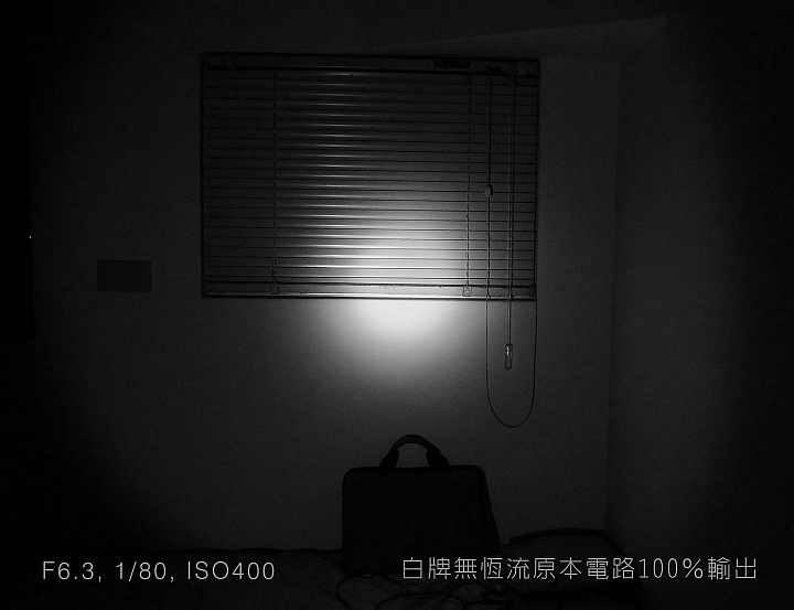 還在相信拔獅毛可以長頭髮嗎？今天來拔拔看是真是假 （我沒發錯區喔）