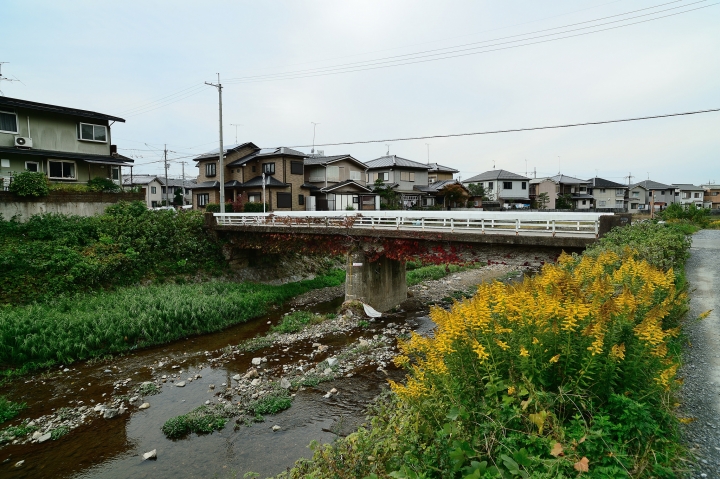 2014 京都-楓[圖多]