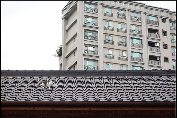 2014.12.14【單車遊記】台北城市漫遊 II‧感受聖誕節的氛圍