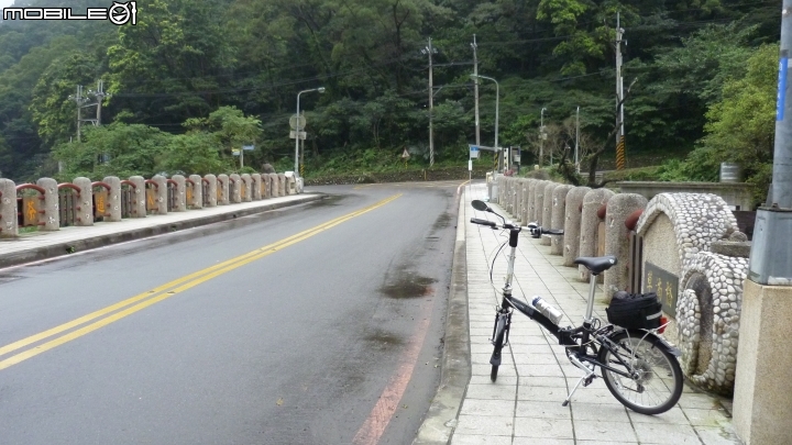 騎七速小折上貓空加碼逆騎阿柔洋