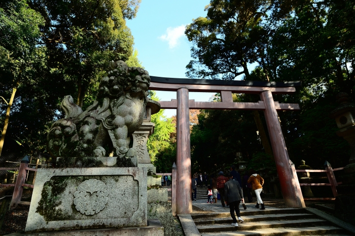 2014 京都-楓[圖多]