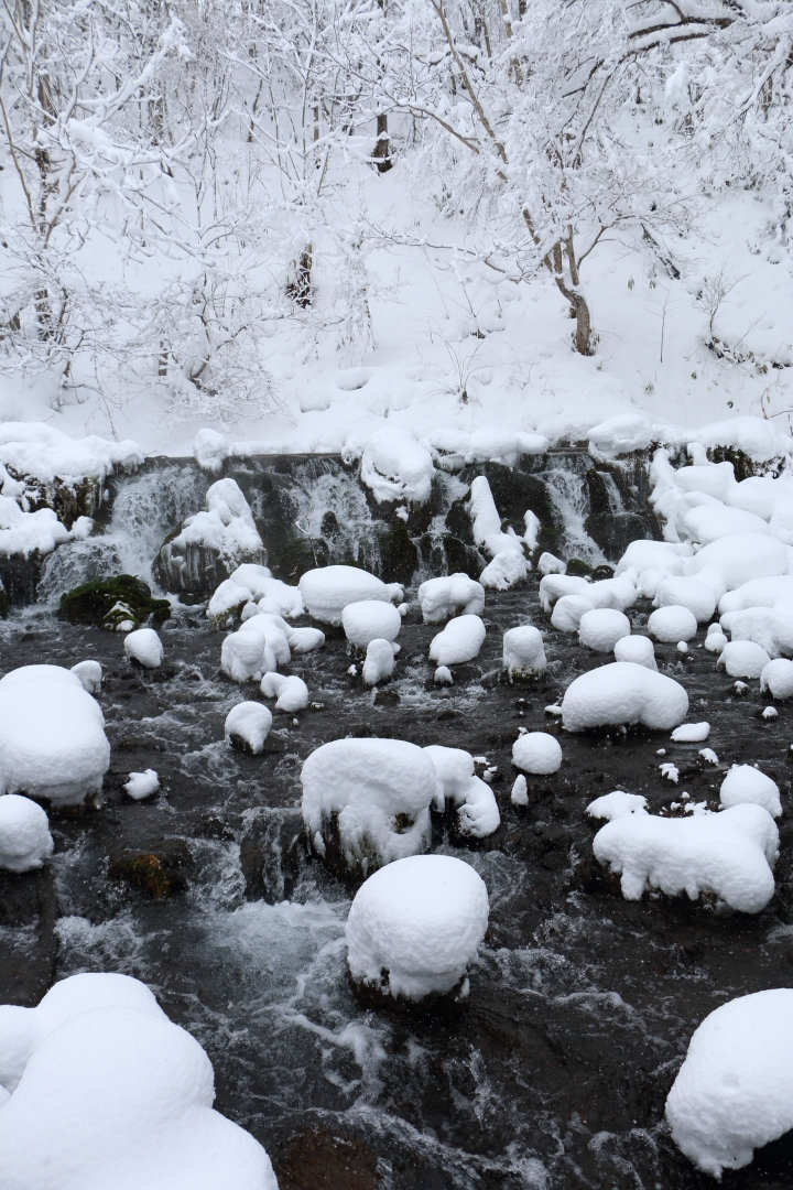 70D簡易開箱及北海道之旅使用心得