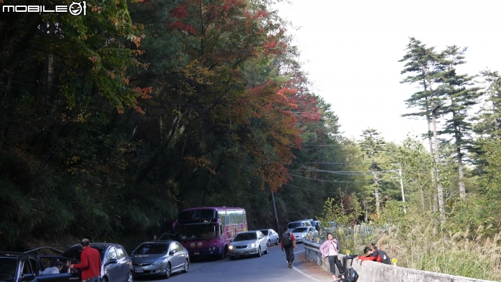 中橫楓紅實況分享