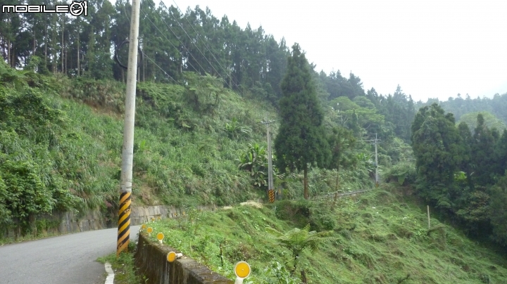 2013.10.15 杉林溪初體驗!