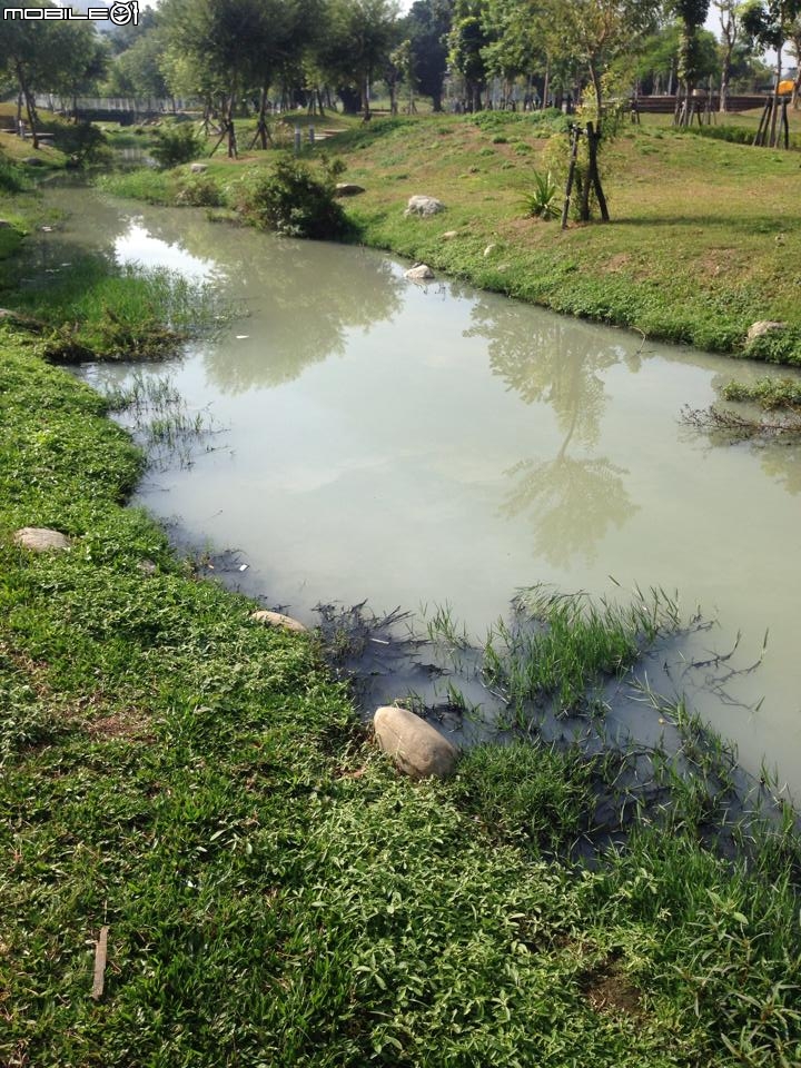 無法維持的新五甲公園