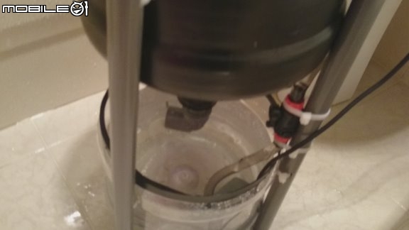 蒸餾水瓶 DIY 迷你魚菜共生系統 Mini Aquaponics