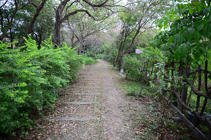 帶爸媽長庚健檢，等待時刻到旁邊鳥松濕地平靜一上午。