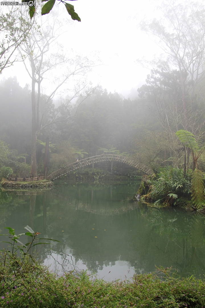 溪頭大學池全景圖   (使用PS 自動Photomerge...將五張合成一張)