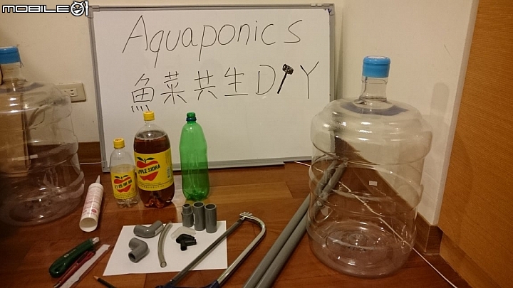 蒸餾水瓶 DIY 迷你魚菜共生系統 Mini Aquaponics