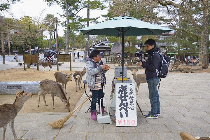2015京阪奈之旅