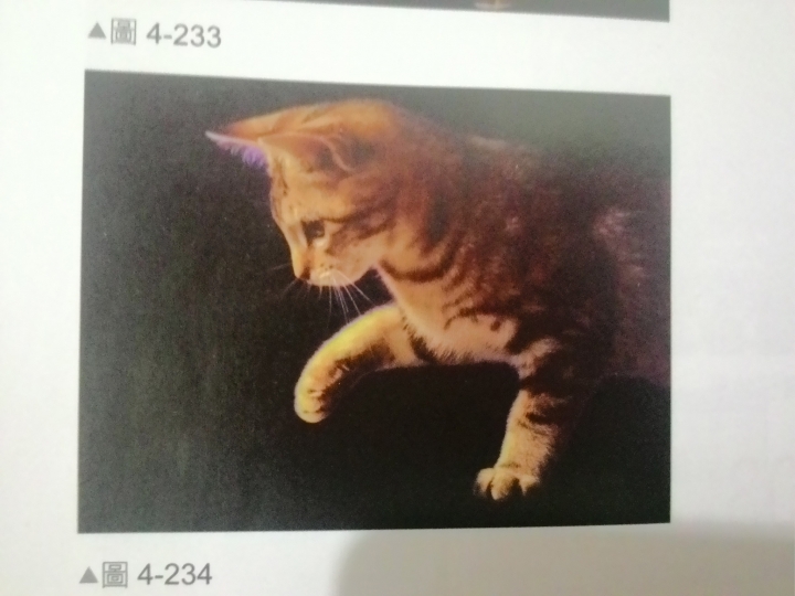 [請教]PS去背問題 請各位大大幫我看一下