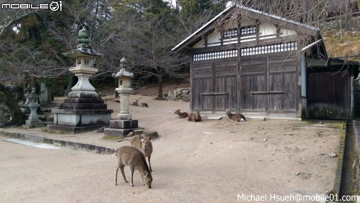 [日本]廣島、愛媛、香川、岡山四日遊