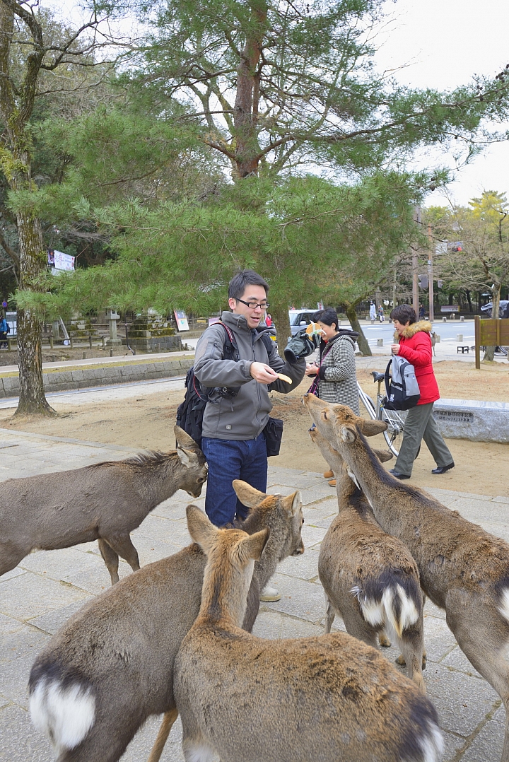2015京阪奈之旅