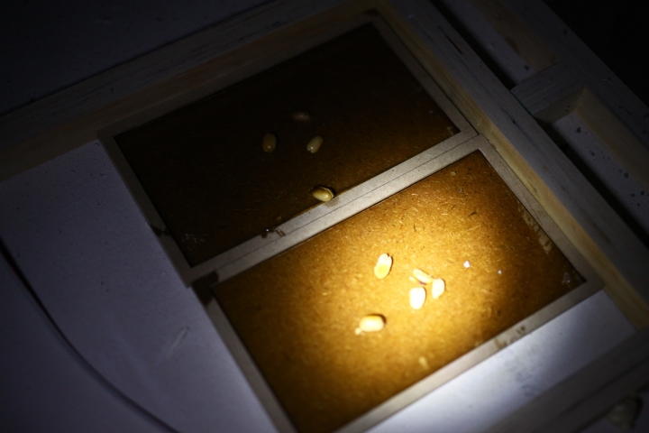 自己的家園自己救~防堵鼠輩大作戰!!! DIY分享