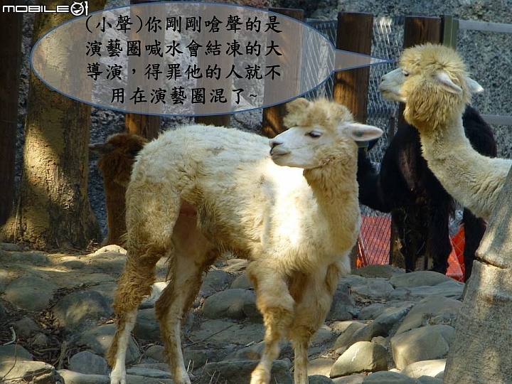 壽山動物園奇遇記