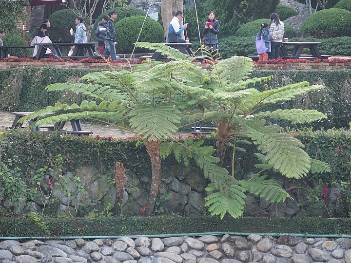古堡照片中，有小孩們不同時期成長身影，有著美好回憶在古堡。