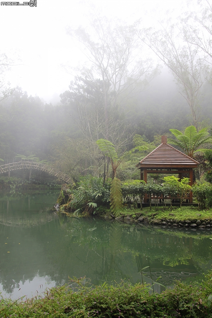 溪頭大學池全景圖   (使用PS 自動Photomerge...將五張合成一張)