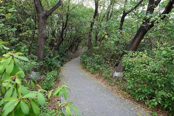 帶爸媽長庚健檢，等待時刻到旁邊鳥松濕地平靜一上午。